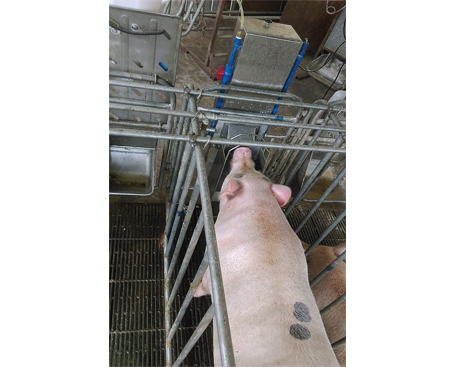 闭式冷却塔 厂家直销