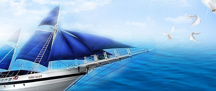 乐山运动减肥训练营